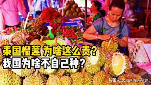 91华人国产  第2张