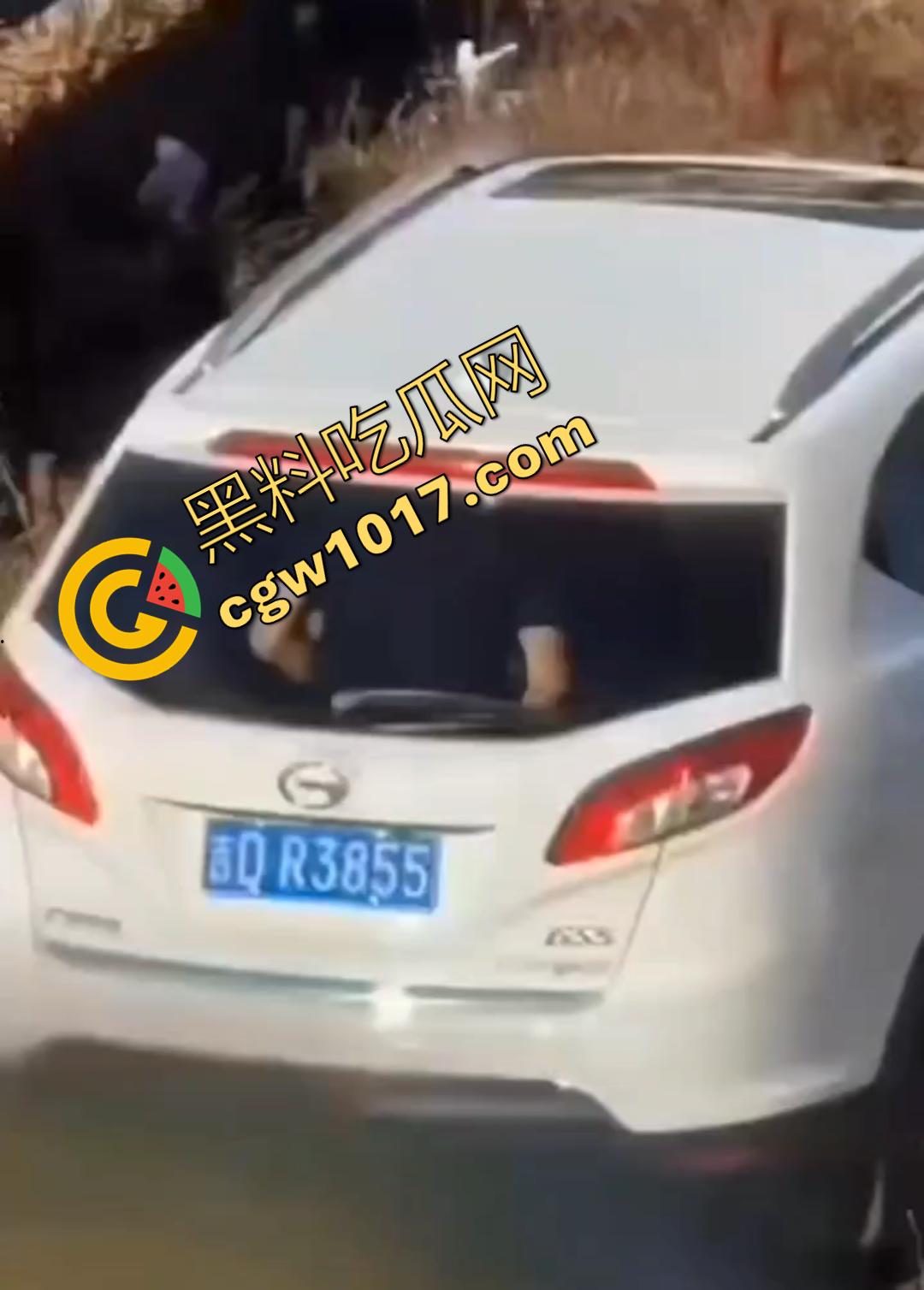 辽源市的吉DR3855 野外车震完整曝光!大屁股后入白嫩晃眼,车主直接社死全国! 第1张 辽源市的吉DR3855 野外车震完整曝光!大屁股后入白嫩晃眼,车主直接社死全国! 第1张