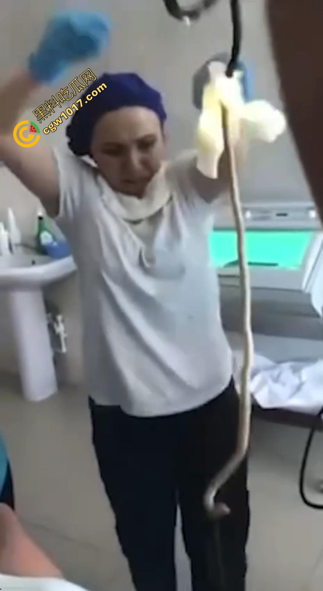 俄罗斯医院活拽1米毒蛇!女患者吞蛇卵孵化钻喉,医生手抖拽出瞬间到处乱窜! 第4张 俄罗斯医院活拽1米毒蛇!女患者吞蛇卵孵化钻喉,医生手抖拽出瞬间到处乱窜! 第4张