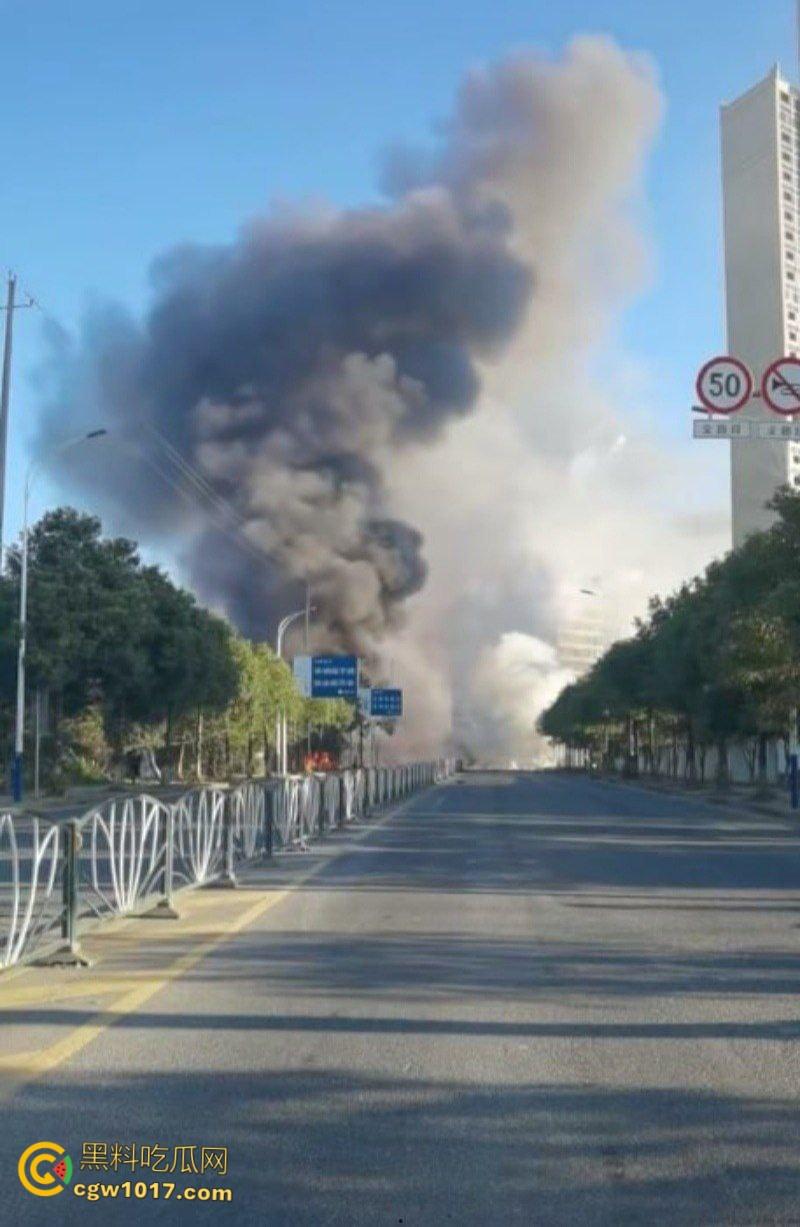 浏阳烟花爆炸事件,勇鑫烟花老板实名举报腐败官员吃分行收贿,被禁卖绝望吃农药,自爆门店轰塌大楼 ! 第4张 浏阳烟花爆炸事件,勇鑫烟花老板实名举报腐败官员吃分行收贿,被禁卖绝望吃农药,自爆门店轰塌大楼 ! 第4张