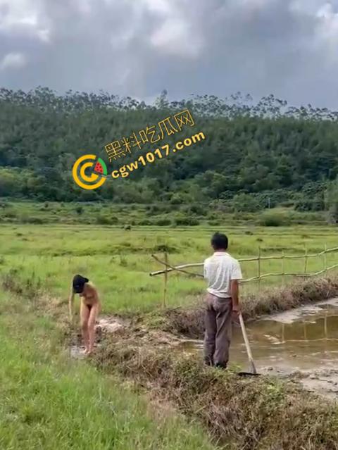 极品尤物CikaiMoon大尺度暴露!穿越稻田,酮体迷人,巨波荡漾,翘臀蹦跳,农民伯伯纷纷回眸,欲火中烧! 第11张 极品尤物CikaiMoon大尺度暴露!穿越稻田,酮体迷人,巨波荡漾,翘臀蹦跳,农民伯伯纷纷回眸,欲火中烧! 第11张