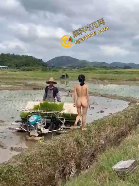 极品尤物CikaiMoon大尺度暴露!穿越稻田,酮体迷人,巨波荡漾,翘臀蹦跳,农民伯伯纷纷回眸,欲火中烧! 第13张 极品尤物CikaiMoon大尺度暴露!穿越稻田,酮体迷人,巨波荡漾,翘臀蹦跳,农民伯伯纷纷回眸,欲火中烧! 第13张