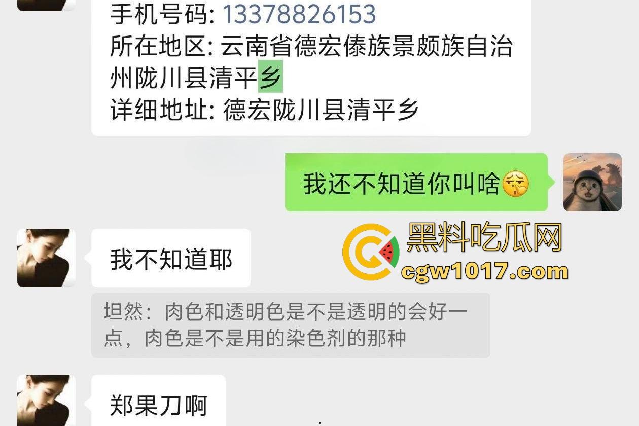 云南德宏巨乳反差婊【郑果刀】网恋骗吃骗喝，奶大B肥男友不在就偷人，自慰棒要买最大号，做爱时奶子甩成冬瓜！  第2张