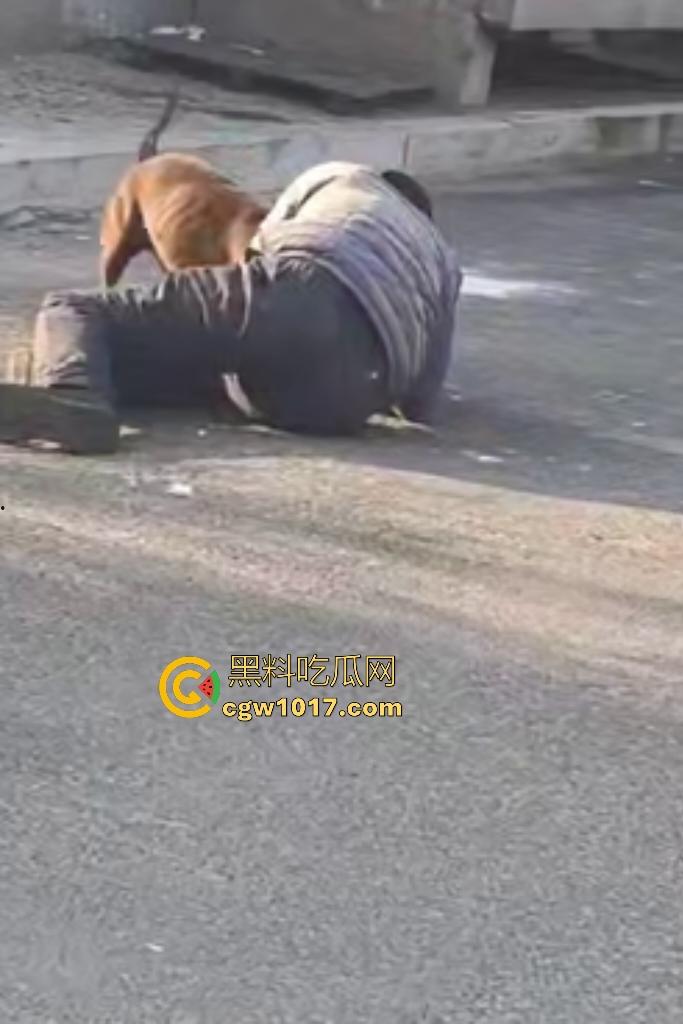 大爷手贱开狗笼被比特犬当场反咬！女主人抱不住狗，大妈大爷拿棍子打像挠痒，比特犬得配上香料才安抚大爷的心！  第4张