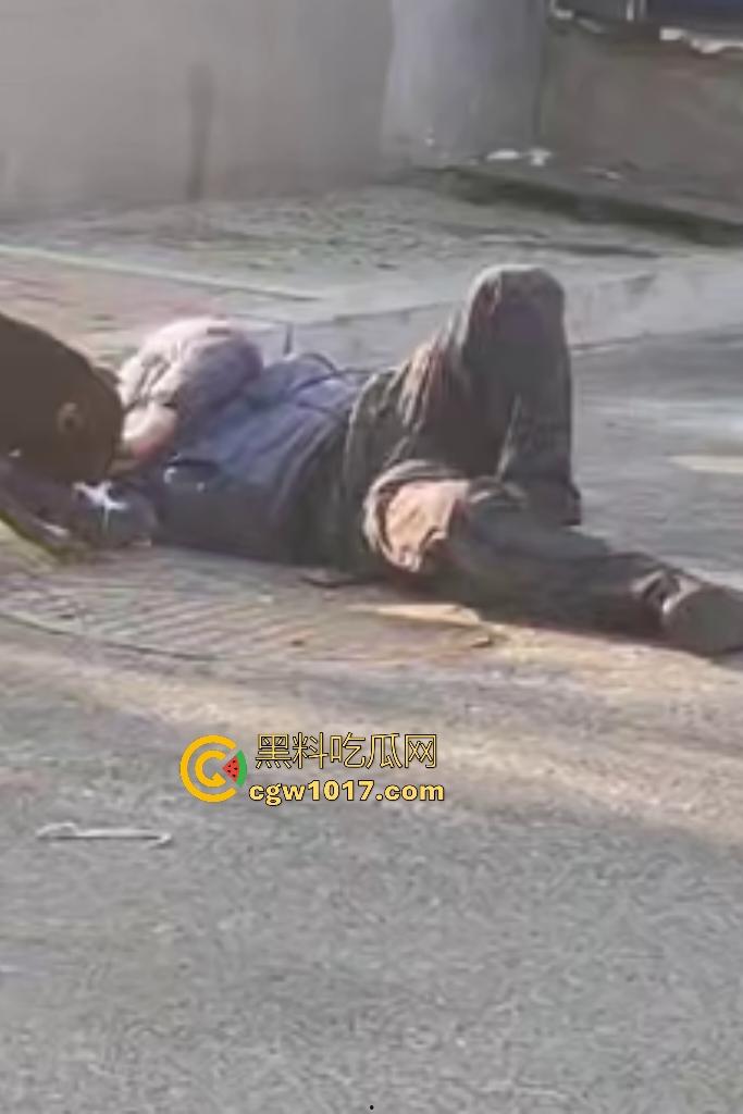 大爷手贱开狗笼被比特犬当场反咬！女主人抱不住狗，大妈大爷拿棍子打像挠痒，比特犬得配上香料才安抚大爷的心！  第5张