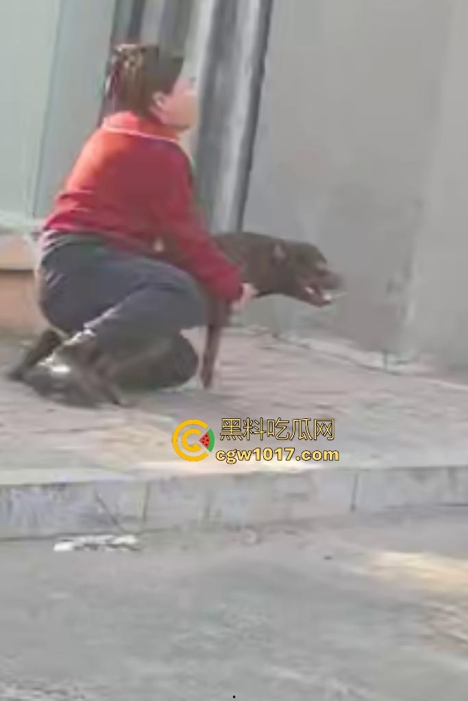 大爷手贱开狗笼被比特犬当场反咬！女主人抱不住狗，大妈大爷拿棍子打像挠痒，比特犬得配上香料才安抚大爷的心！  第6张