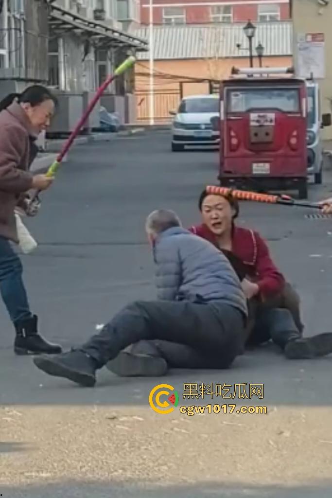 大爷手贱开狗笼被比特犬当场反咬！女主人抱不住狗，大妈大爷拿棍子打像挠痒，比特犬得配上香料才安抚大爷的心！  第7张