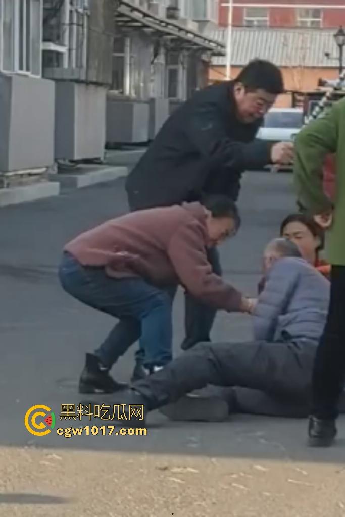 大爷手贱开狗笼被比特犬当场反咬！女主人抱不住狗，大妈大爷拿棍子打像挠痒，比特犬得配上香料才安抚大爷的心！  第9张