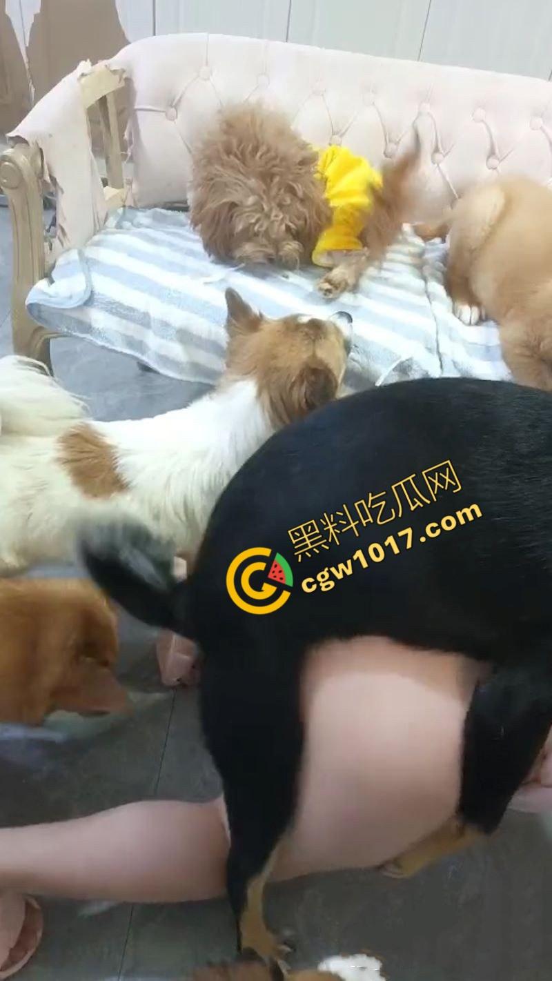 独居小仙女发情无人解决,首次尝试金毛大贯穿,高潮连连腿软如泥,深陷狗屌难以自拔,成为了狂热狗交粉! 第5张 独居小仙女发情无人解决,首次尝试金毛大贯穿,高潮连连腿软如泥,深陷狗屌难以自拔,成为了狂热狗交粉! 第5张