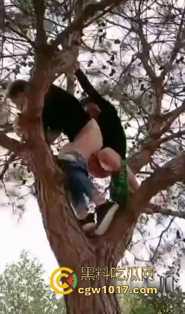 小编精选户外野战做爱视频，各种场景各种大胆做爱露出，无视众人猛插骚逼，只友你想不到的没有他们不敢操的！  第5张