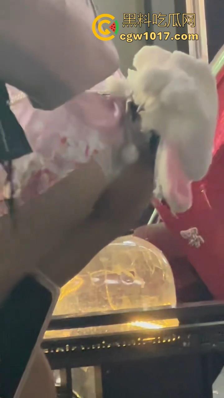 街头偶遇骚逼母狗执行主人的户外任务！齐逼短裙配透明小尾巴内裤，街头大胆露出，小骚逼玩刺激的是吧！  第8张