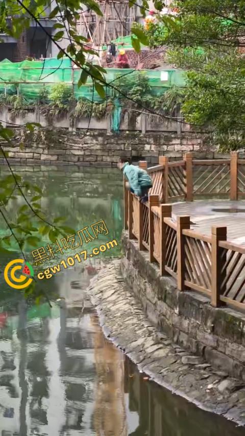 重庆湖边惊魂:绝望女子跳湖,勇敢路人生死救美,惊险拯救,揪心一刻,心跳加速,惊险刺激! 第2张 重庆湖边惊魂:绝望女子跳湖,勇敢路人生死救美,惊险拯救,揪心一刻,心跳加速,惊险刺激! 第2张