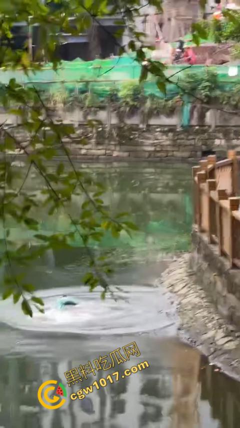 重庆湖边惊魂:绝望女子跳湖,勇敢路人生死救美,惊险拯救,揪心一刻,心跳加速,惊险刺激! 第4张 重庆湖边惊魂:绝望女子跳湖,勇敢路人生死救美,惊险拯救,揪心一刻,心跳加速,惊险刺激! 第4张