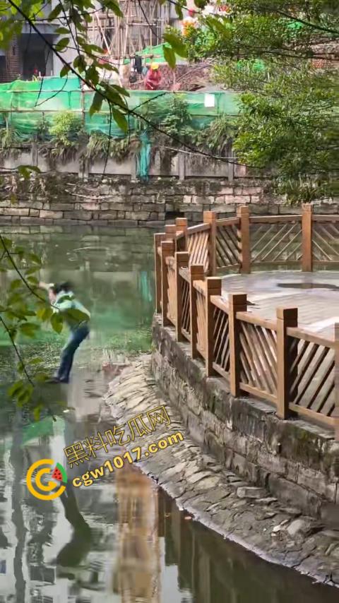 重庆湖边惊魂:绝望女子跳湖,勇敢路人生死救美,惊险拯救,揪心一刻,心跳加速,惊险刺激! 第3张 重庆湖边惊魂:绝望女子跳湖,勇敢路人生死救美,惊险拯救,揪心一刻,心跳加速,惊险刺激! 第3张