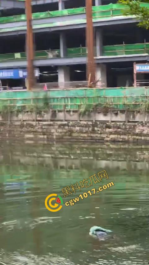 重庆湖边惊魂:绝望女子跳湖,勇敢路人生死救美,惊险拯救,揪心一刻,心跳加速,惊险刺激! 第5张 重庆湖边惊魂:绝望女子跳湖,勇敢路人生死救美,惊险拯救,揪心一刻,心跳加速,惊险刺激! 第5张