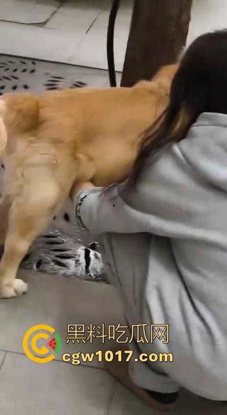 现在的人都这么阴到没边了吗？普通的帮男友打飞机不够刺激，现在流行帮狗打飞机了是吧，每天打几次狗也顶不住！  第5张