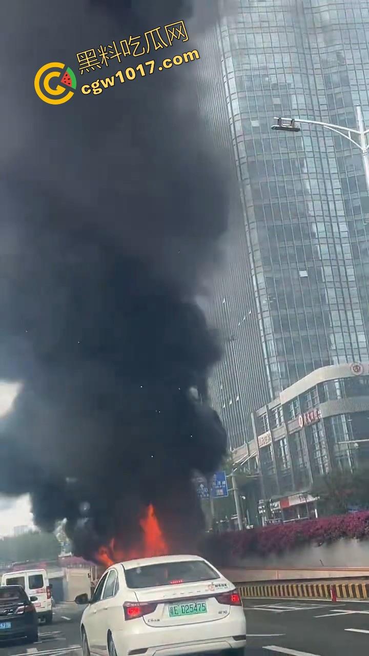 广东佛山季华园隧道口公交车发生自燃，现场浓烟滚滚，火势极其的大，具体自燃原因还待查明！  第5张