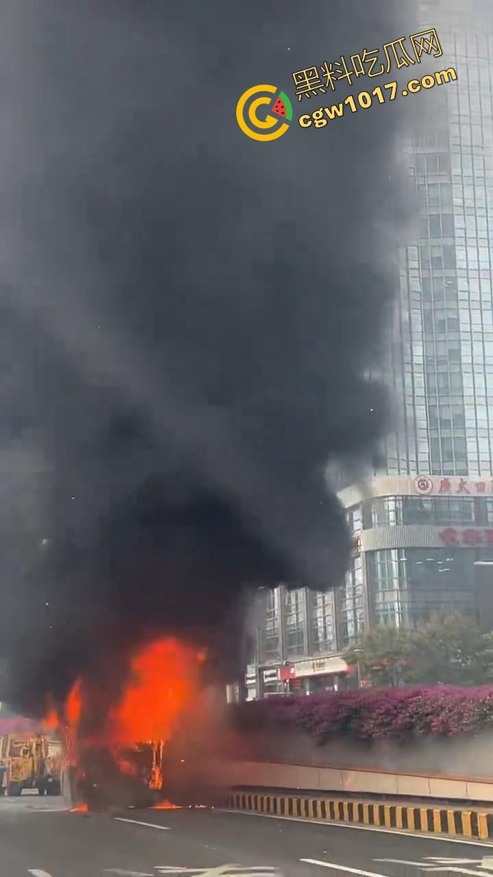 广东佛山季华园隧道口公交车发生自燃，现场浓烟滚滚，火势极其的大，具体自燃原因还待查明！  第6张