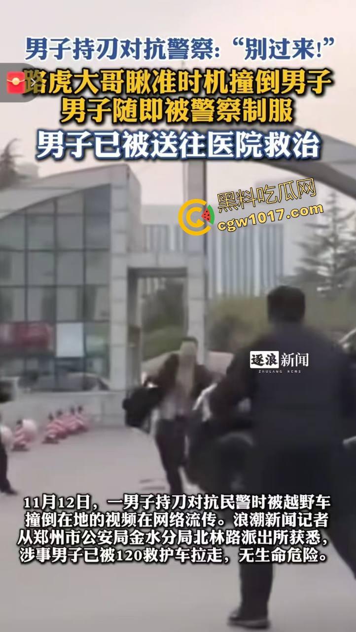 大型纪录片【路虎宣传片】持续为你播出，路虎大哥见义勇为撞翻持刀男子，后退瞄准机会就撞上去，难怪你能开路虎！  第3张