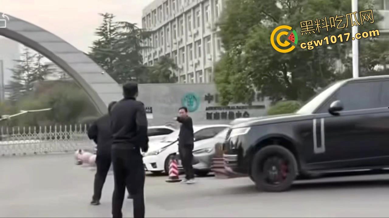 大型纪录片【路虎宣传片】持续为你播出，路虎大哥见义勇为撞翻持刀男子，后退瞄准机会就撞上去，难怪你能开路虎！  第5张