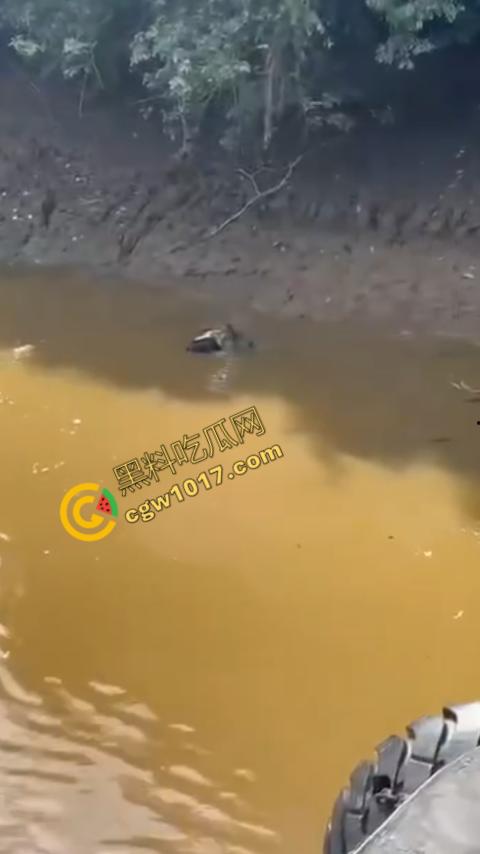 男子野泳惨遭鳄鱼袭击,身体被肆意撕裂,尸体血肉模糊,搜救队惊惧地目睹这惨绝人寰的一幕 第5张 男子野泳惨遭鳄鱼袭击,身体被肆意撕裂,尸体血肉模糊,搜救队惊惧地目睹这惨绝人寰的一幕 第5张