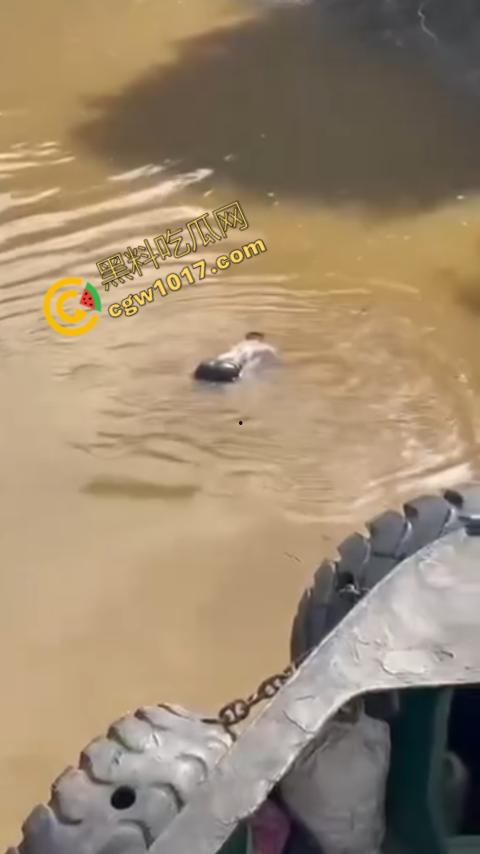 男子野泳惨遭鳄鱼袭击,身体被肆意撕裂,尸体血肉模糊,搜救队惊惧地目睹这惨绝人寰的一幕 第8张 男子野泳惨遭鳄鱼袭击,身体被肆意撕裂,尸体血肉模糊,搜救队惊惧地目睹这惨绝人寰的一幕 第8张