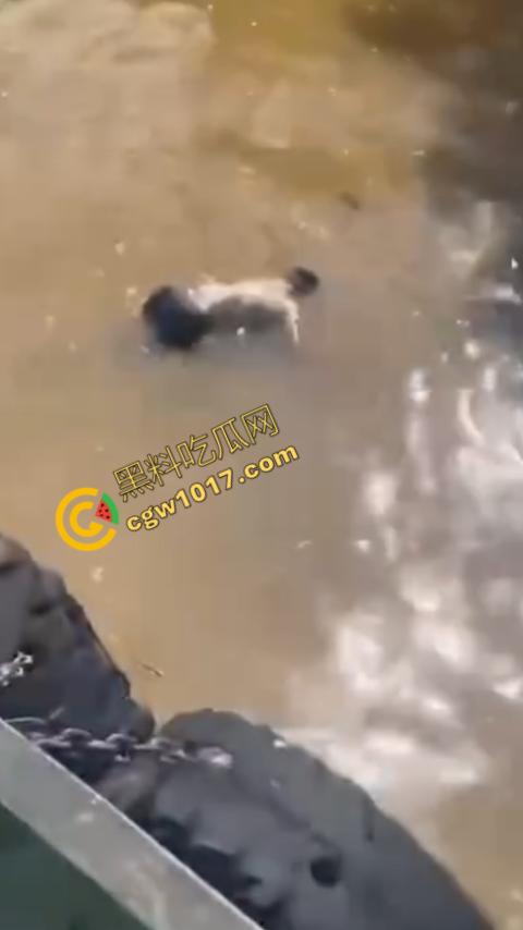 男子野泳惨遭鳄鱼袭击,身体被肆意撕裂,尸体血肉模糊,搜救队惊惧地目睹这惨绝人寰的一幕 第9张 男子野泳惨遭鳄鱼袭击,身体被肆意撕裂,尸体血肉模糊,搜救队惊惧地目睹这惨绝人寰的一幕 第9张