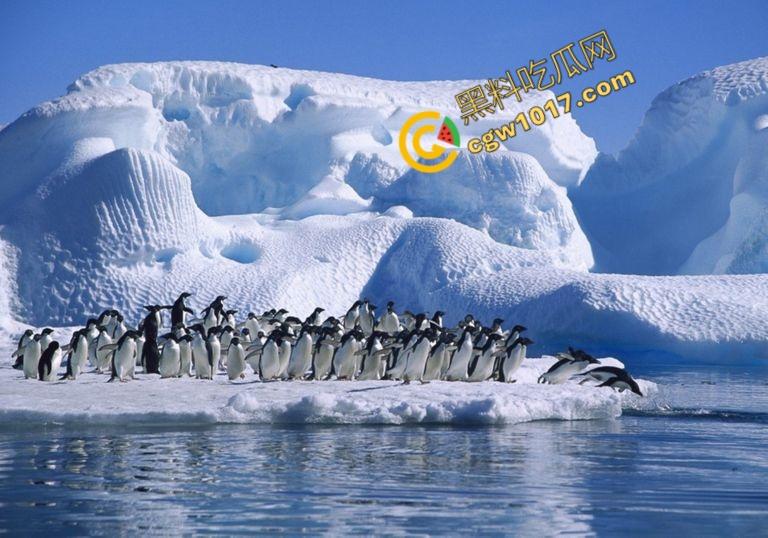 南极科考内部视频劲爆流出：30种未知致命生物！从“死亡之球”到“僵尸蠕虫”，史前病毒横行，足以令人毛骨悚然！  第3张