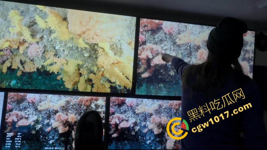 南极科考内部视频劲爆流出：30种未知致命生物！从“死亡之球”到“僵尸蠕虫”，史前病毒横行，足以令人毛骨悚然！  第10张