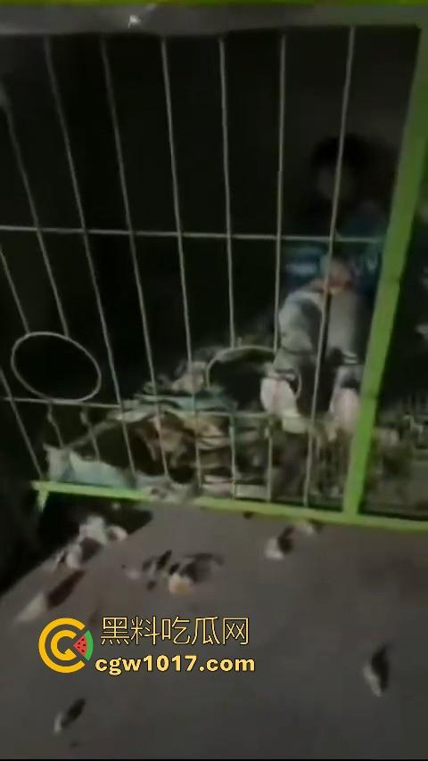 又见教育狂魔上线，作业没写完被打进狗笼？虎爸摇身一变成畜生爸，全网怒骂还在狡辩为你好！  第5张