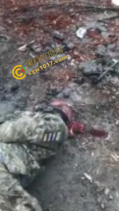 恐怖慎入:战俘被残虐致死内部视频曝光:耳朵,阴茎被残忍收割,现场画面血腥暴力,胆小这勿入! 第9张 恐怖慎入:战俘被残虐致死内部视频曝光:耳朵,阴茎被残忍收割,现场画面血腥暴力,胆小这勿入! 第9张