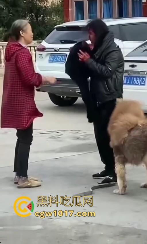 七年老狗反咬主人，不是虐待就突然发疯，满脸都是血，大型狗真恐怖，随后安排处死，这时候爱狗人士怎么不说话了！  第3张