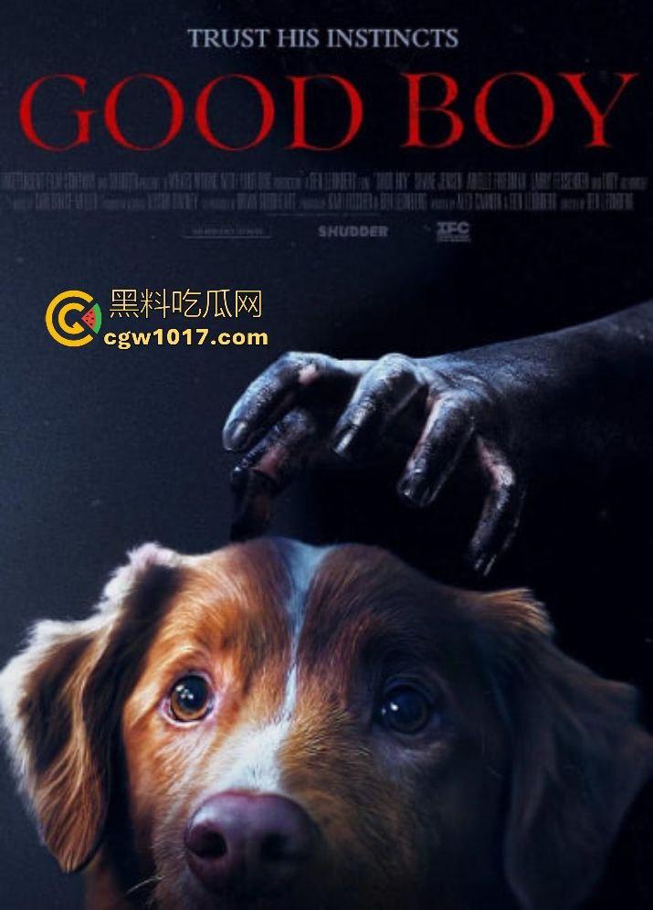 电影【好狗狗】，乡下老宅鬼影幢幢印第狂吠撕咬恶灵，邻居猎人装妖魔潜伏，忠犬搏命救主，真是条好狗狗！  第1张