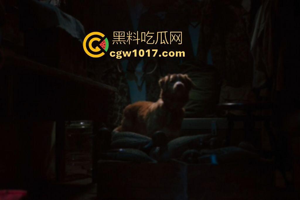 电影【好狗狗】，乡下老宅鬼影幢幢印第狂吠撕咬恶灵，邻居猎人装妖魔潜伏，忠犬搏命救主，真是条好狗狗！  第2张