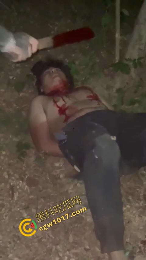 惊悚巴西雨林：鲜血四溅，砍喉视频引发恐慌，暴力画面惊骇世人，血腥场面令人喘不过气！  第6张