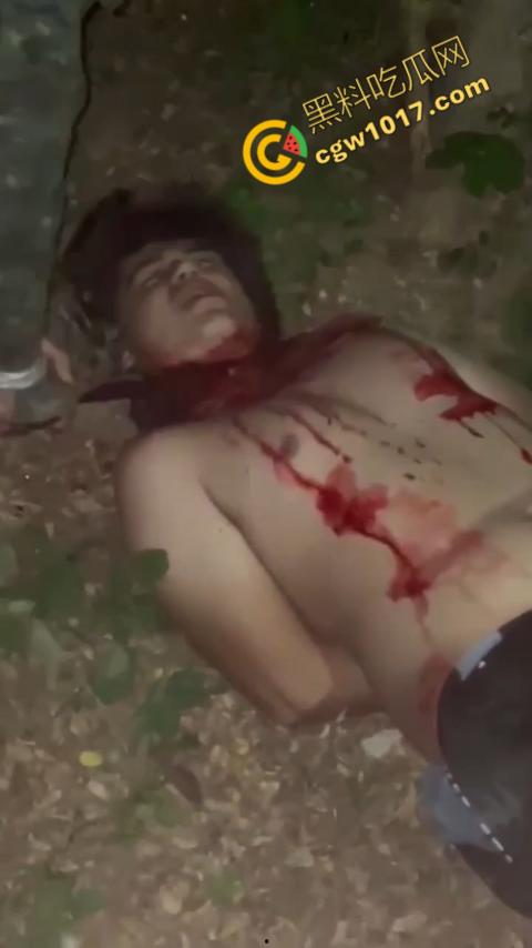 惊悚巴西雨林：鲜血四溅，砍喉视频引发恐慌，暴力画面惊骇世人，血腥场面令人喘不过气！  第7张