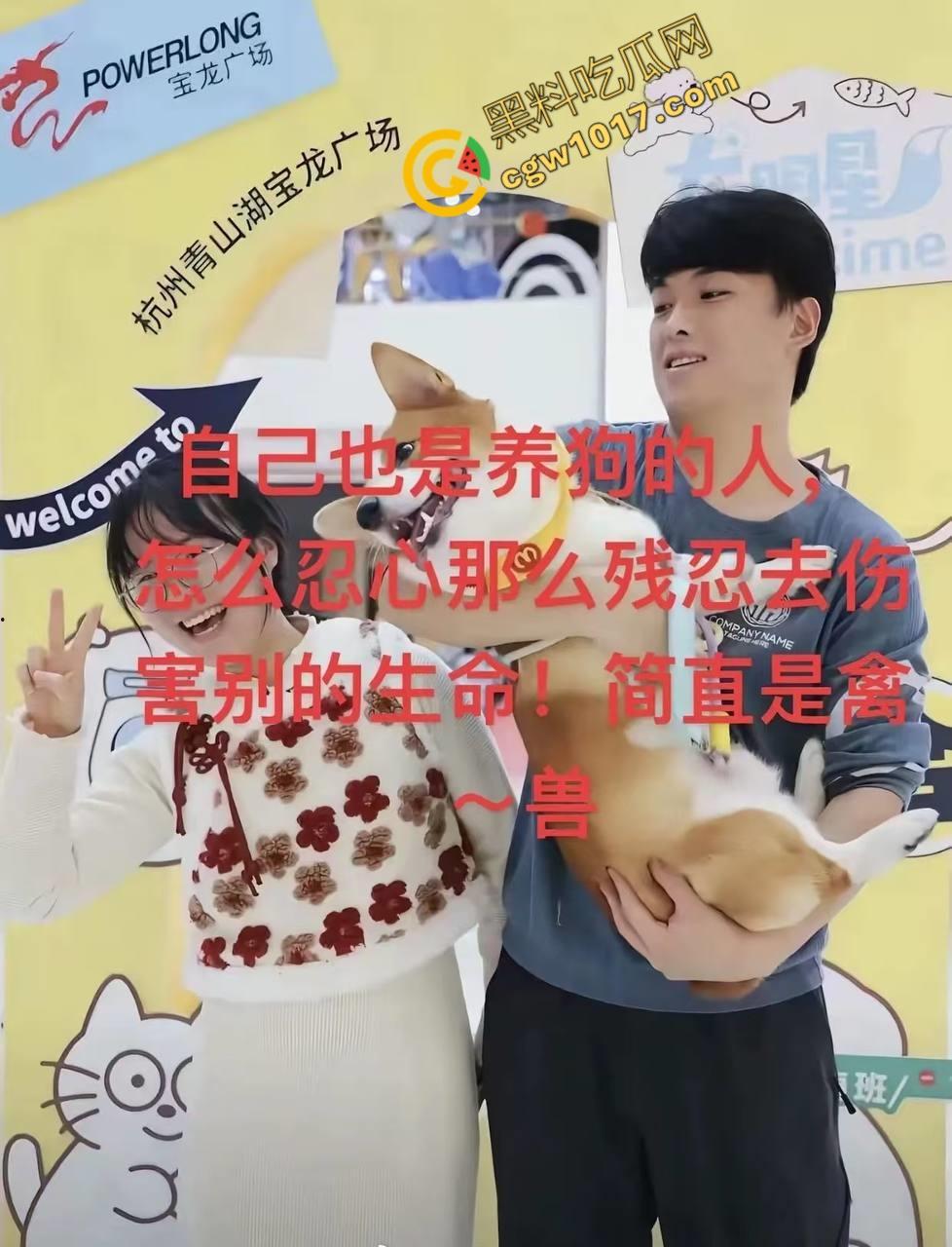 浙江狂暴男子街头暴力虐狗事件火遍全网:血腥场面令人震撼,马犬惨叫声震撼人心,引发全民怒吼! 第1张 浙江狂暴男子街头暴力虐狗事件火遍全网:血腥场面令人震撼,马犬惨叫声震撼人心,引发全民怒吼! 第1张