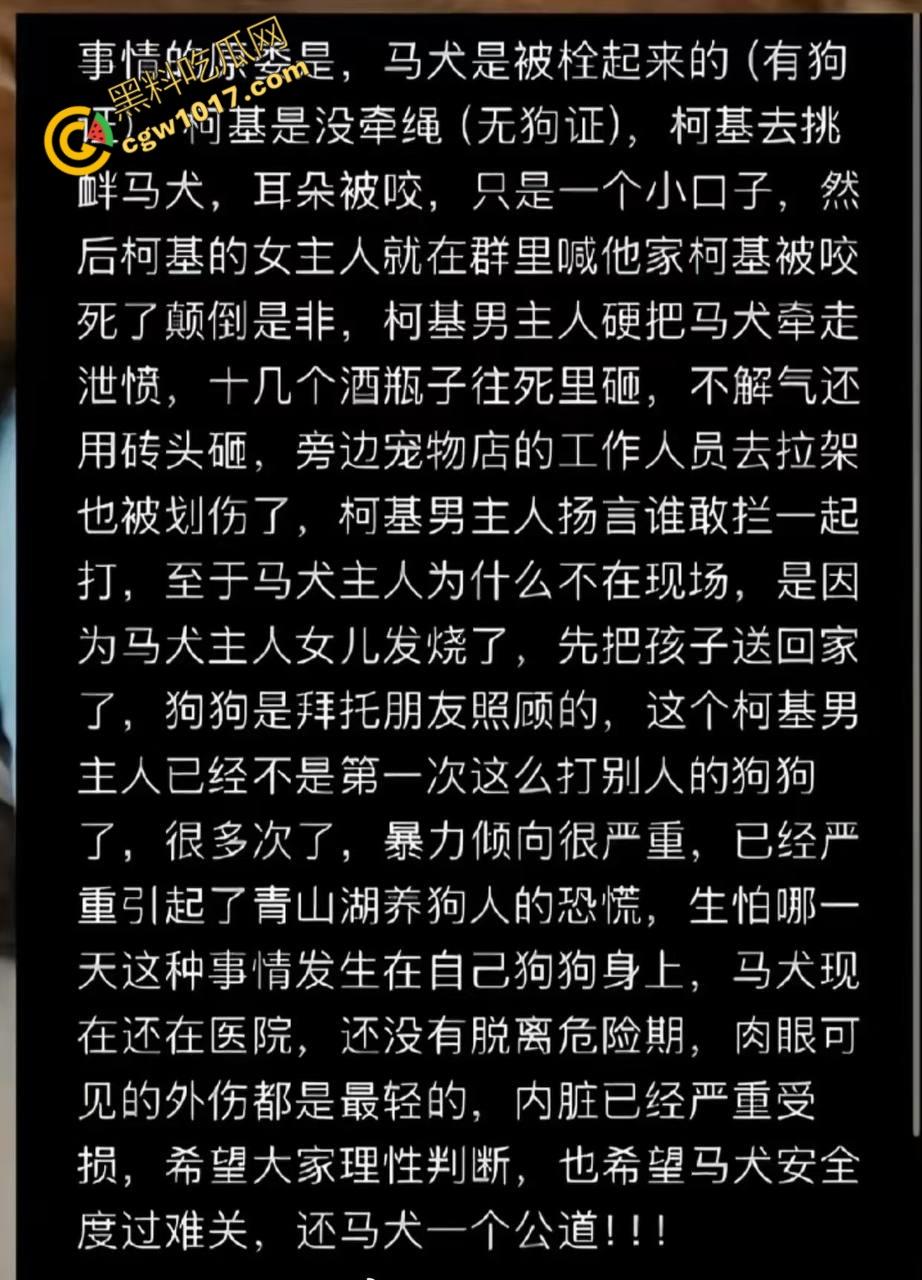 浙江狂暴男子街头暴力虐狗事件火遍全网:血腥场面令人震撼,马犬惨叫声震撼人心,引发全民怒吼! 第2张 浙江狂暴男子街头暴力虐狗事件火遍全网:血腥场面令人震撼,马犬惨叫声震撼人心,引发全民怒吼! 第2张