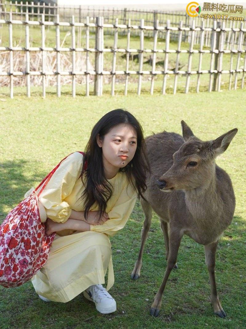 日本留学生【陈清怡】曲线玲珑美乳饱满，口技高超吞吐拉丝，翘臀圆润后入爆操，臀浪翻天！  第2张