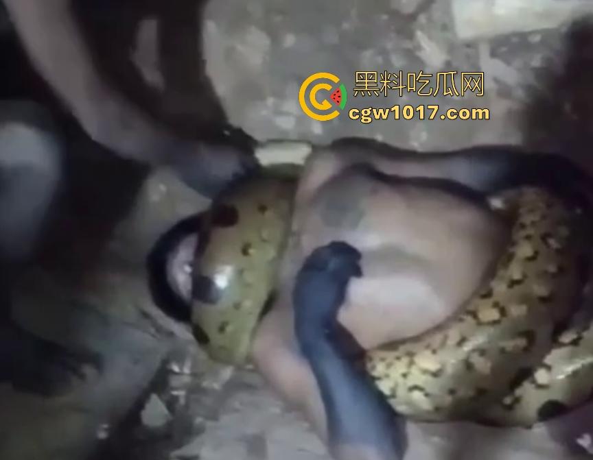 印度醉汉被巨蟒缠绕绞杀，骨骼咔咔断裂脸黑如炭，俩亲兄弟把蟒蛇抬走说喝点恒河水能活，这都黑了还能救？  第2张