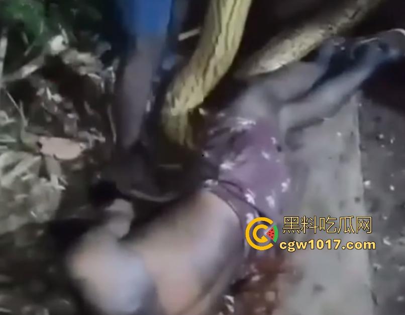 印度醉汉被巨蟒缠绕绞杀，骨骼咔咔断裂脸黑如炭，俩亲兄弟把蟒蛇抬走说喝点恒河水能活，这都黑了还能救？  第7张