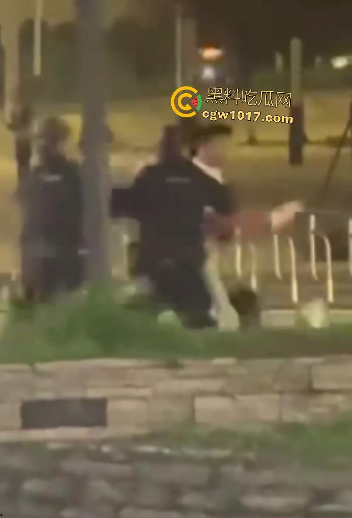 达州街头“刀皇”用菜刀袭警，小冲突变警匪大戏，警车撞击刀皇还能立马站起来，女友抱腿才能制服，太牛逼了！  第5张