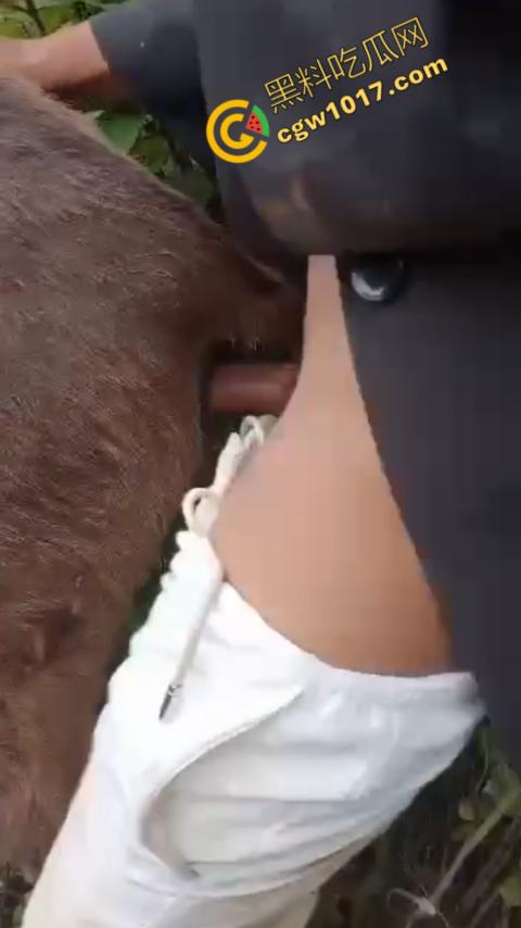 劲爆！国外男子大战骡子私拍震惊网络！阳光下奋力抽插，骡子吃草欢声不断，男子大屌进出嫩穴，友人拍摄更添刺激！  第8张