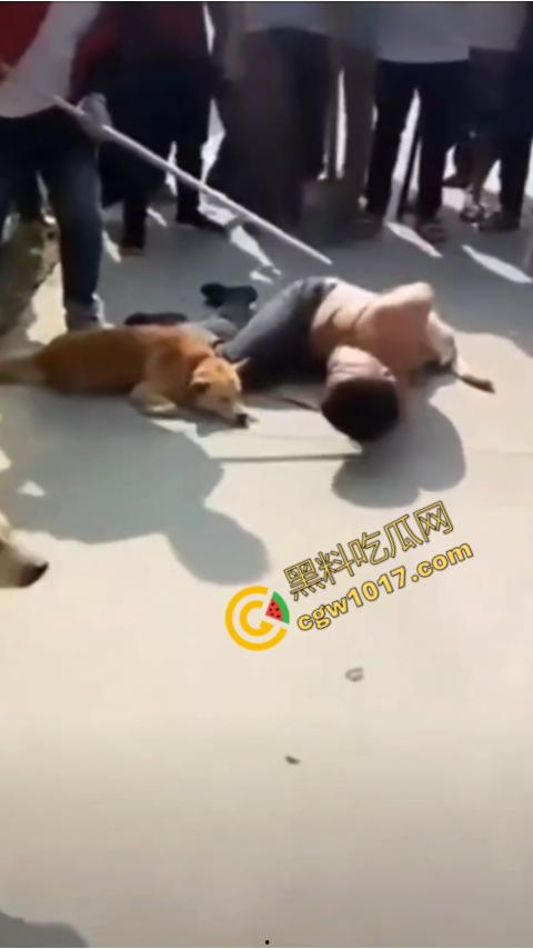 广西村民抓住偷狗贼，脱光殴打，场面血腥凶残，围观村民挥棒狂殴，男子惨嚎不断，村民誓要为爱犬复仇！  第4张