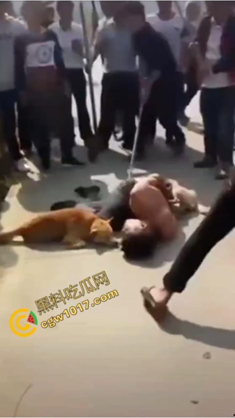 广西村民抓住偷狗贼，脱光殴打，场面血腥凶残，围观村民挥棒狂殴，男子惨嚎不断，村民誓要为爱犬复仇！  第9张