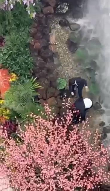 西安赛格跳楼事件 一女子从赛格 7 层坠入负二层 疑似与老公吵架一时想不开 第1张 西安赛格跳楼事件 一女子从赛格 7 层坠入负二层 疑似与老公吵架一时想不开 第1张