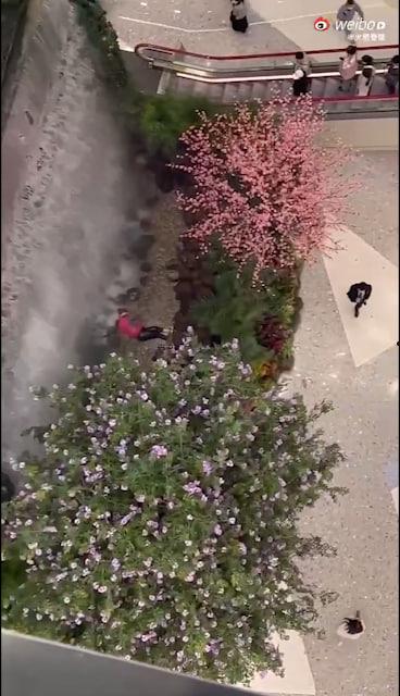 西安赛格跳楼事件 一女子从赛格 7 层坠入负二层 疑似与老公吵架一时想不开 第2张 西安赛格跳楼事件 一女子从赛格 7 层坠入负二层 疑似与老公吵架一时想不开 第2张