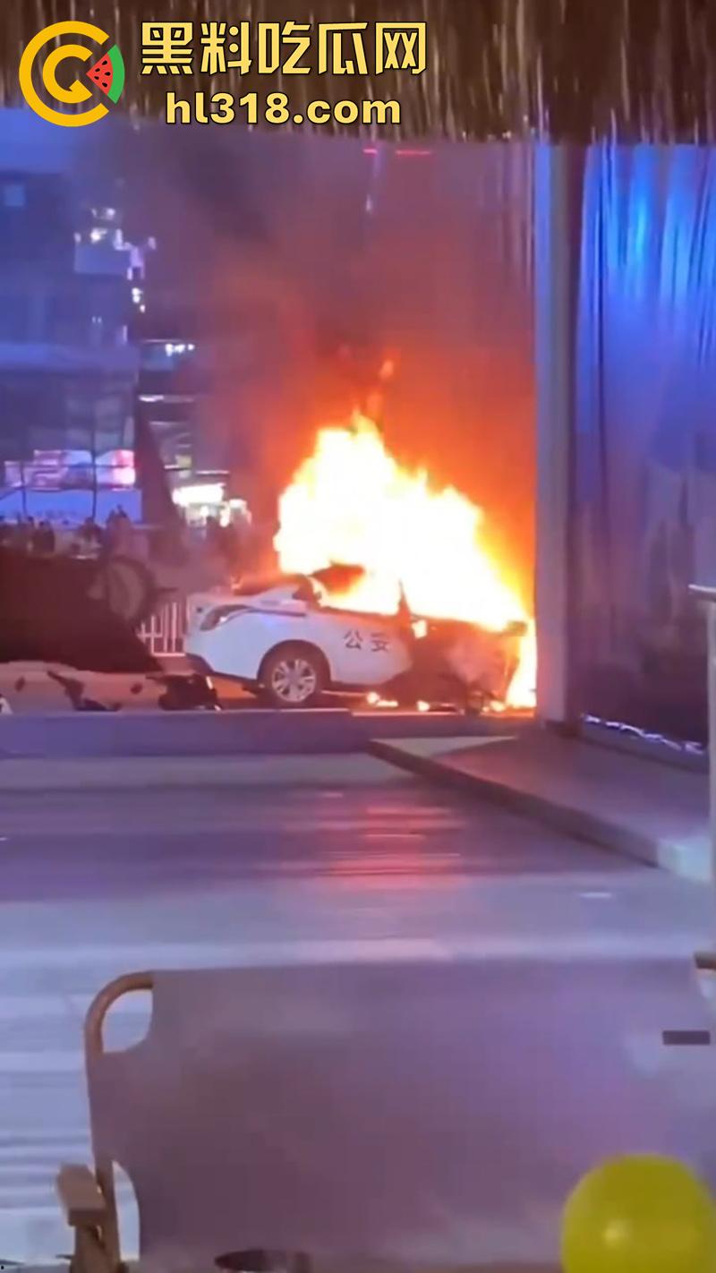 广州南村万博电车警车着火，熊熊大火迅速吞没警车，看来这电车危害，就连警车都不放过啊！  第2张
