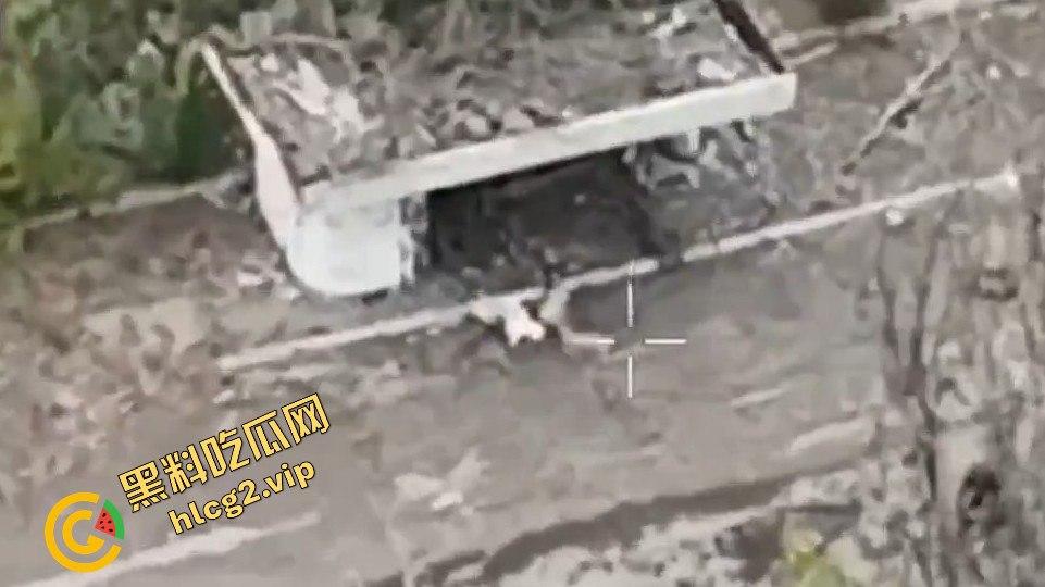 乌军装甲车突袭未果！俄罗斯空降旅强势反击，坦克全灭！】  第9张