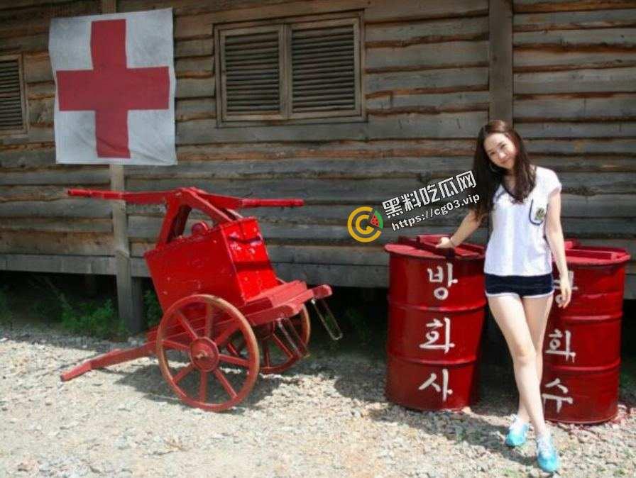 南韩美女空姐为金主献身 视频流出 惊现航空门  第2张